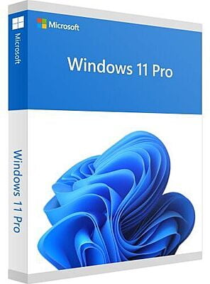 MS Windows 11 Professional 64BIT ENG 1PK DSP - DVD